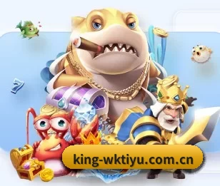 king-wktiyu.com.cn的故事